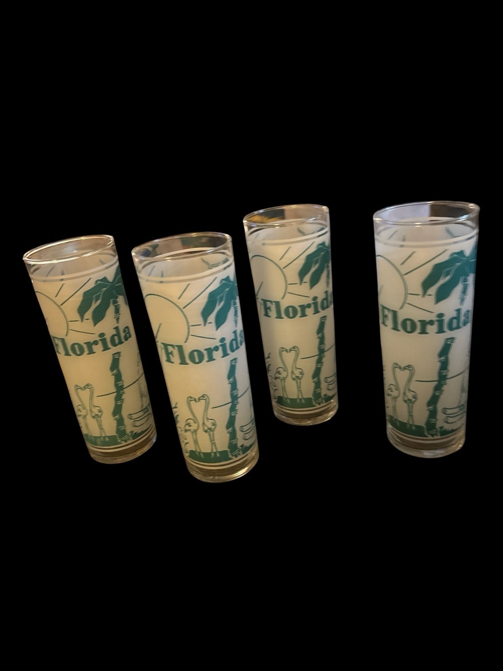 Set of 4 Florida Souvenir Glass Tumblers in Teal